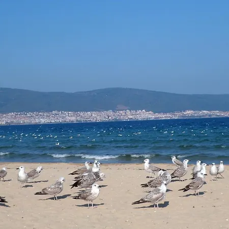 Elit 2 Studio Nesebar