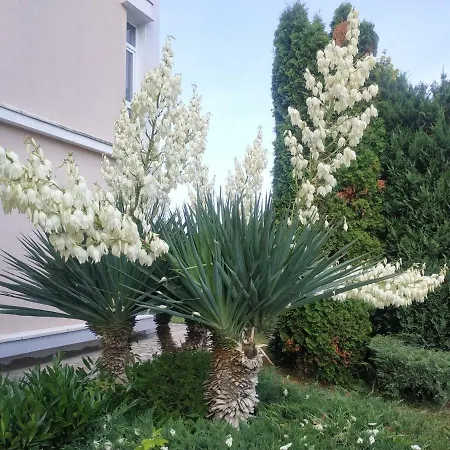 Elit 2 Studio Apartment Nesebar